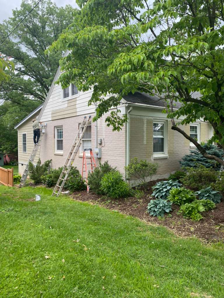 Professional painting - ROLA CONSTRUCTION LLC